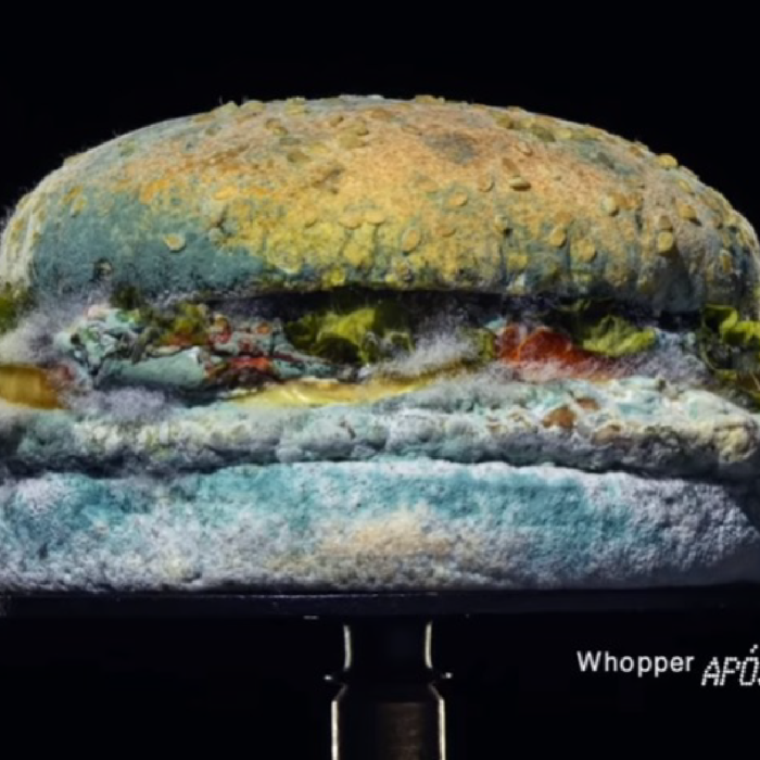 Burger King – Nada Além do Whopper