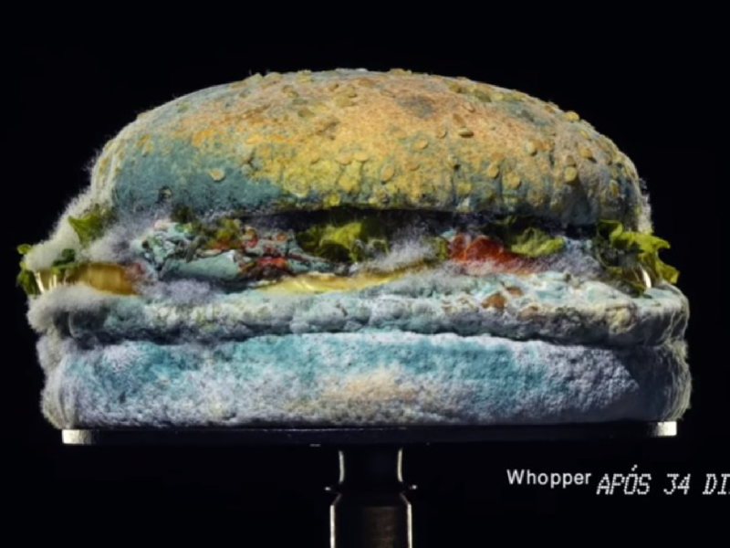 Burger King – Nada Além do Whopper